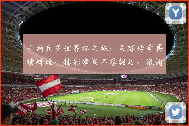 卡纳瓦罗世界杯之旅，足球传奇再续辉煌，精彩瞬间不容错过，敬请期待
