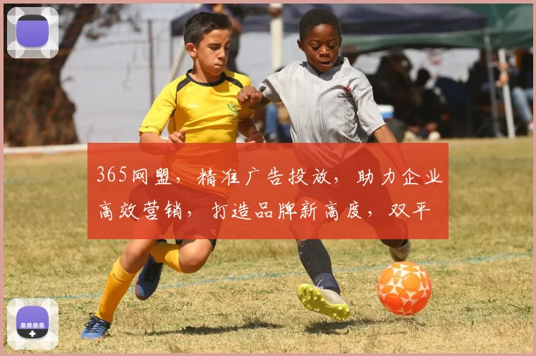 365网盟，精准广告投放，助力企业高效营销，打造品牌新高度，双平台优势，共赢未来